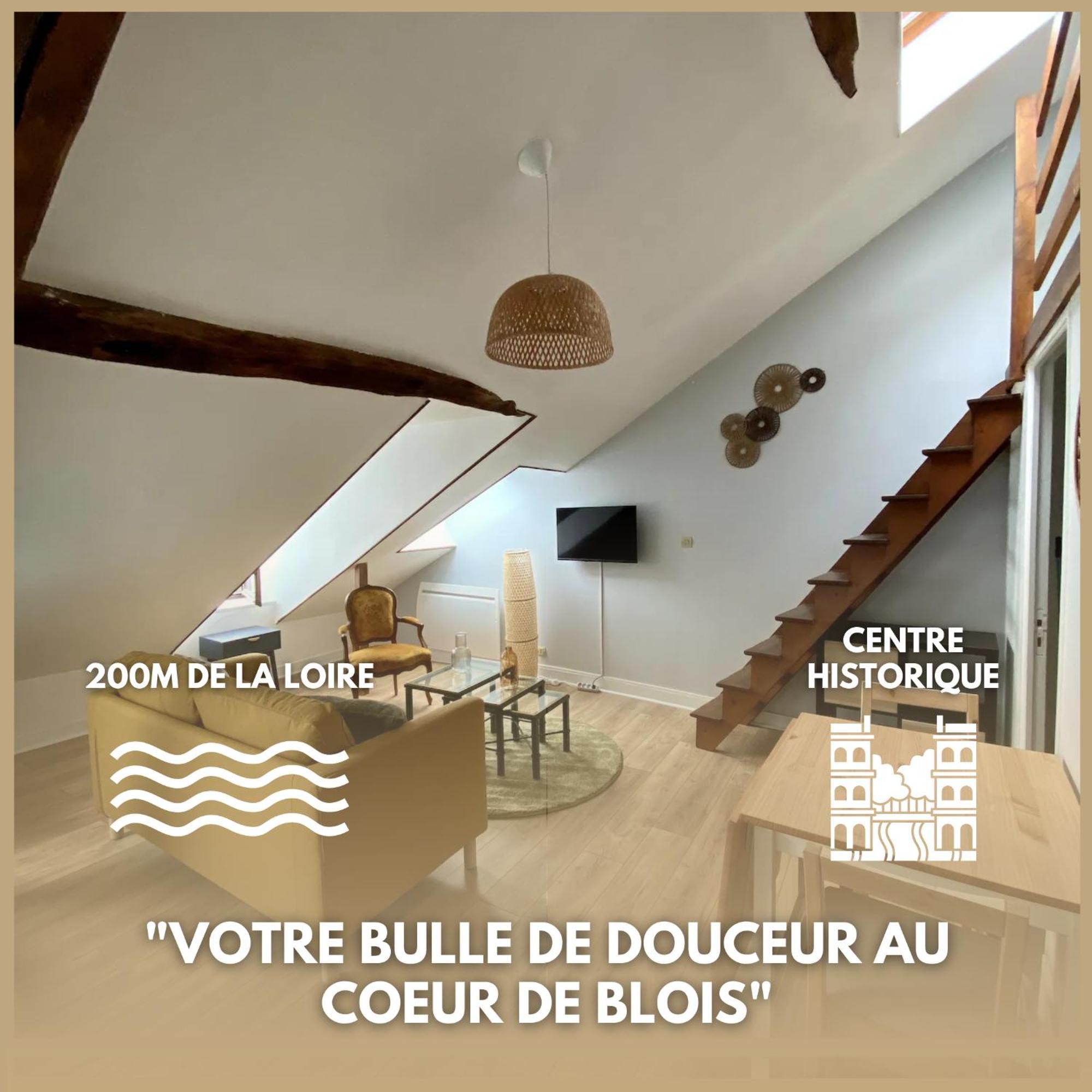 Le Cocon - Appartement En Hyper Centre Μπλουά Εξωτερικό φωτογραφία